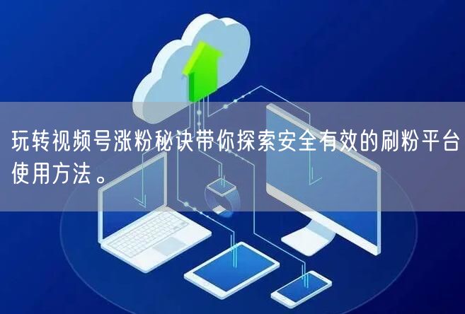 玩转视频号涨粉秘诀带你探索安全有效的刷粉平台使用方法。