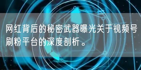 网红背后的秘密武器曝光关于视频号刷粉平台的深度剖析。