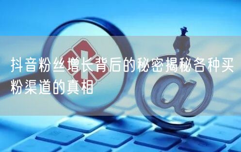 抖音粉丝增长背后的秘密揭秘各种买粉渠道的真相