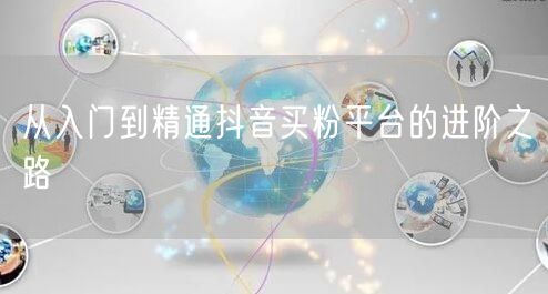 从入门到精通抖音买粉平台的进阶之路