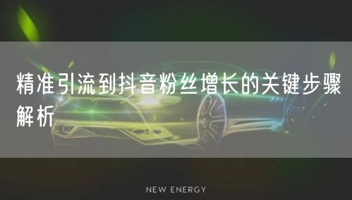 精准引流到抖音粉丝增长的关键步骤解析