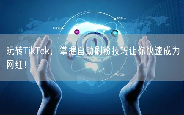 玩转TikTok，掌握自助刷粉技巧让你快速成为网红！