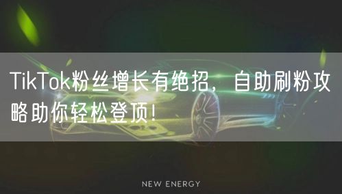 TikTok粉丝增长有绝招，自助刷粉攻略助你轻松登顶！