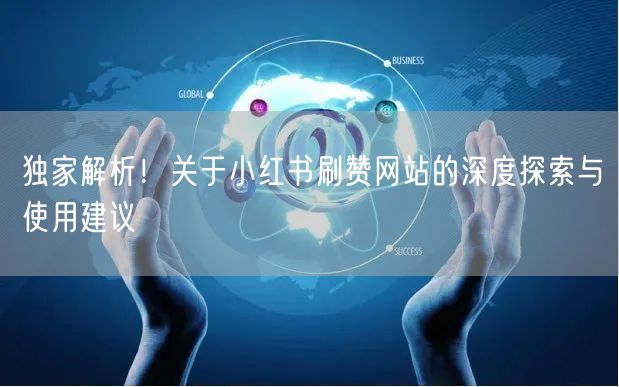 独家解析！关于小红书刷赞网站的深度探索与使用建议