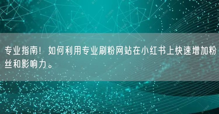 专业指南！如何利用专业刷粉网站在小红书上快速增加粉丝和影响力。