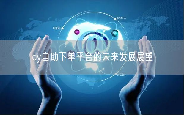 dy自助下单平台的未来发展展望