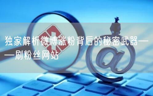 独家解析微博涨粉背后的秘密武器——刷粉丝网站
