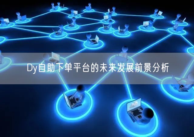 Dy自助下单平台的未来发展前景分析