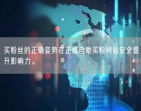 买粉丝的正确姿势在正规自助买粉网站安全提升影响力。