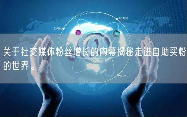 关于社交媒体粉丝增长的内幕揭秘走进自助买粉的世界。