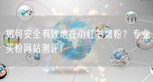 如何安全有效地在小红书增粉？专业买粉网站测评！