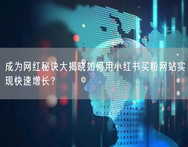 成为网红秘诀大揭晓如何用小红书买粉网站实现快速增长？