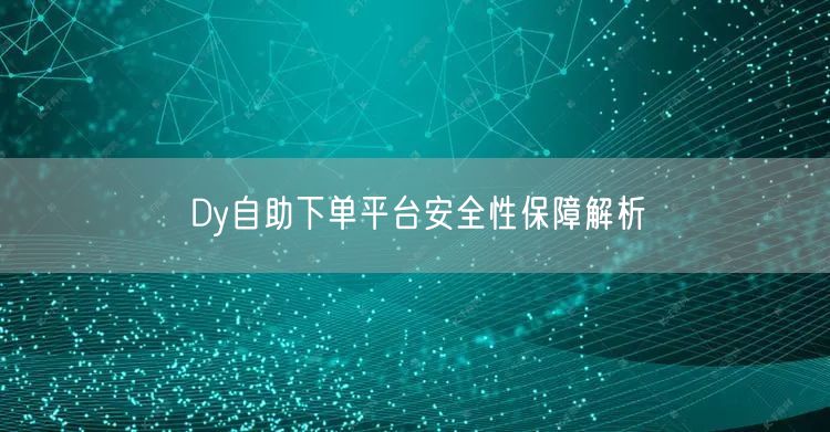 Dy自助下单平台安全性保障解析