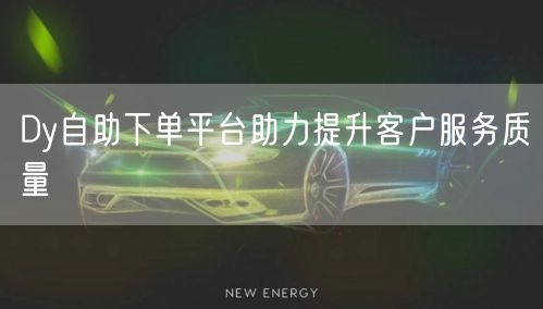 Dy自助下单平台助力提升客户服务质量