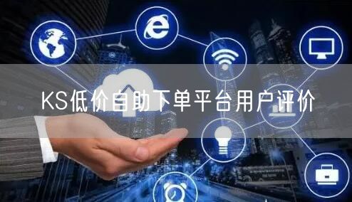 KS低价自助下单平台用户评价