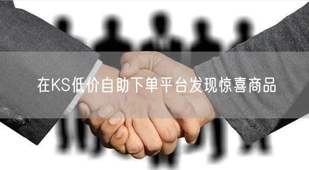 在KS低价自助下单平台发现惊喜商品