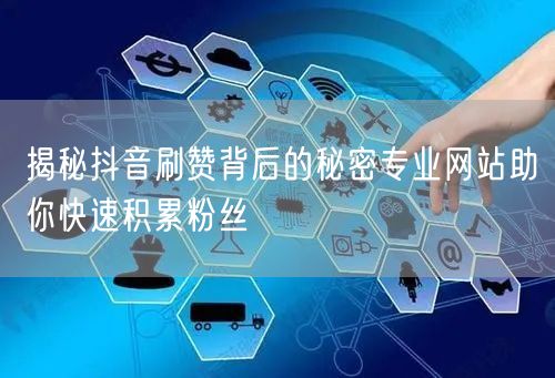 揭秘抖音刷赞背后的秘密专业网站助你快速积累粉丝