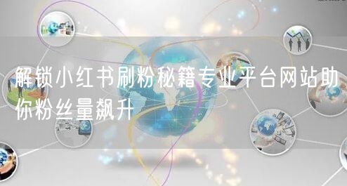 解锁小红书刷粉秘籍专业平台网站助你粉丝量飙升