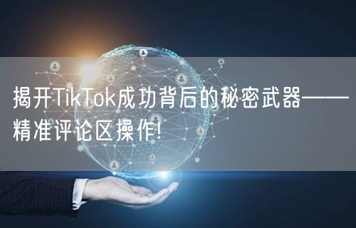 揭开TikTok成功背后的秘密武器——精准评论区操作!