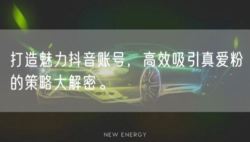 打造魅力抖音账号，高效吸引真爱粉的策略大解密。