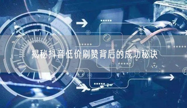 揭秘抖音低价刷赞背后的成功秘诀