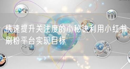 快速提升关注度的小秘诀利用小红书刷粉平台实现目标