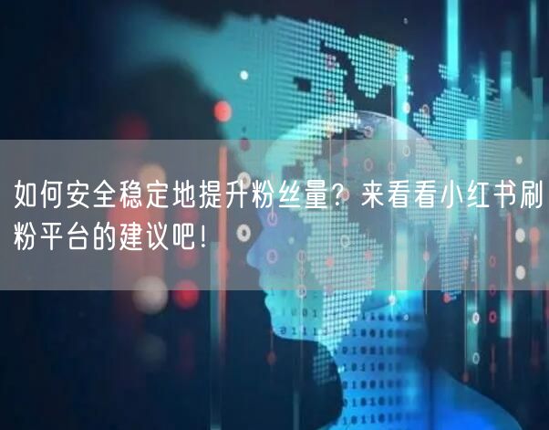 如何安全稳定地提升粉丝量？来看看小红书刷粉平台的建议吧！
