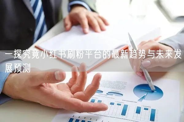 一探究竟小红书刷粉平台的最新趋势与未来发展预测