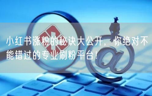小红书涨粉的秘诀大公开，你绝对不能错过的专业刷粉平台！