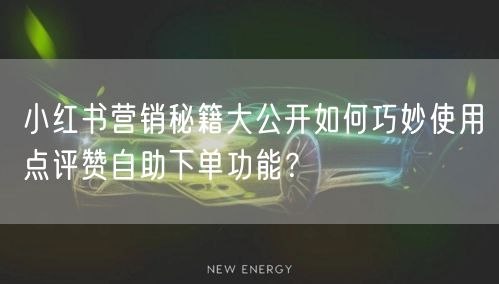 小红书营销秘籍大公开如何巧妙使用点评赞自助下单功能？