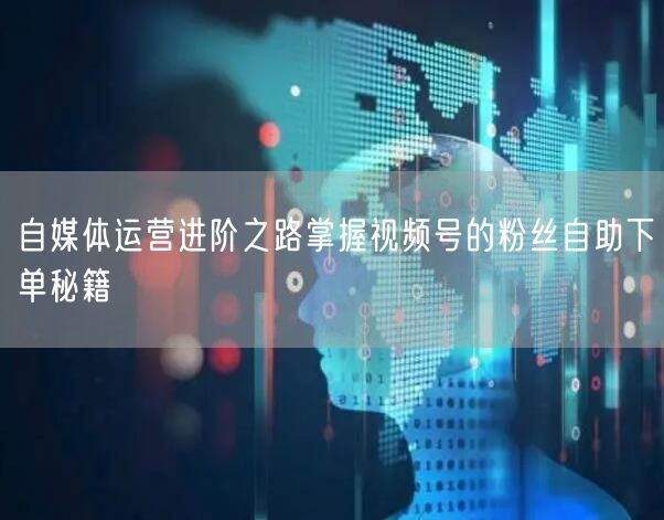 自媒体运营进阶之路掌握视频号的粉丝自助下单秘籍