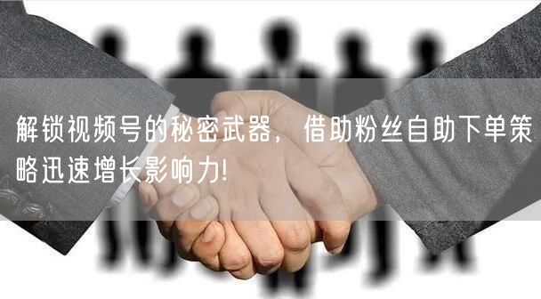 解锁视频号的秘密武器，借助粉丝自助下单策略迅速增长影响力!