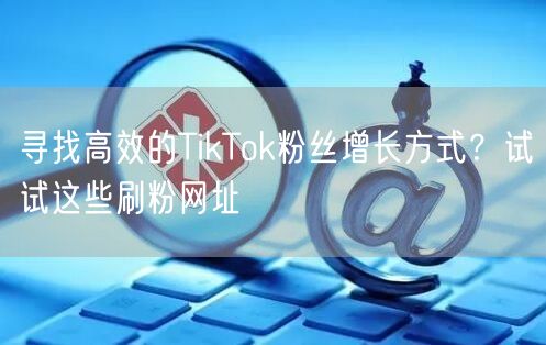 寻找高效的TikTok粉丝增长方式？试试这些刷粉网址
