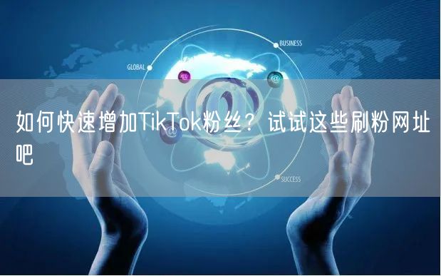 如何快速增加TikTok粉丝？试试这些刷粉网址吧