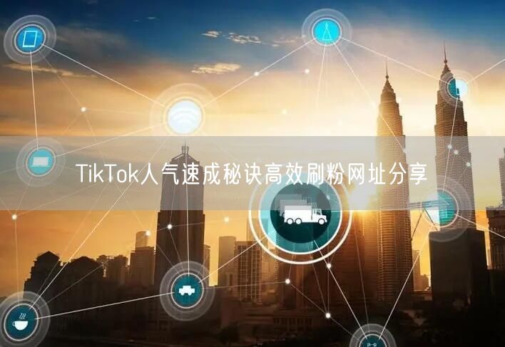 TikTok人气速成秘诀高效刷粉网址分享