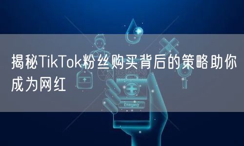 揭秘TikTok粉丝购买背后的策略助你成为网红