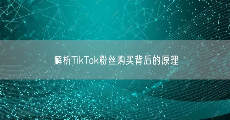解析TikTok粉丝购买背后的原理
