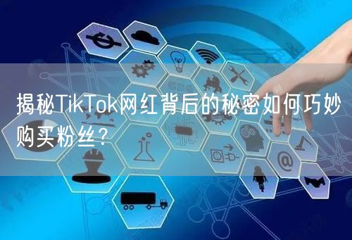 揭秘TikTok网红背后的秘密如何巧妙购买粉丝？