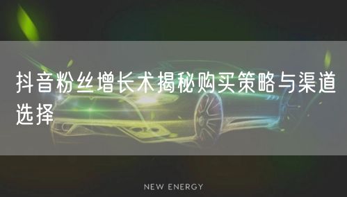 抖音粉丝增长术揭秘购买策略与渠道选择