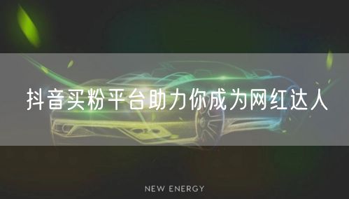 抖音买粉平台助力你成为网红达人
