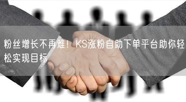 粉丝增长不再难！KS涨粉自助下单平台助你轻松实现目标