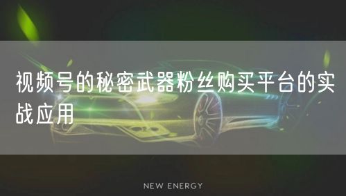 视频号的秘密武器粉丝购买平台的实战应用