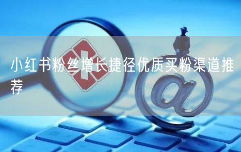 小红书粉丝增长捷径优质买粉渠道推荐