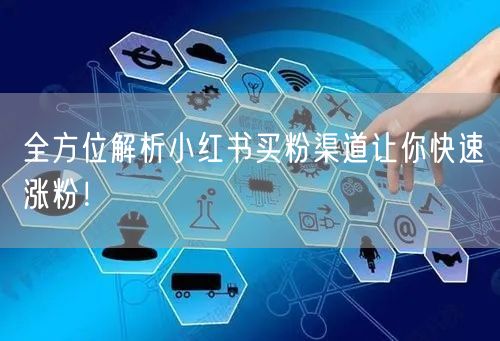 全方位解析小红书买粉渠道让你快速涨粉！