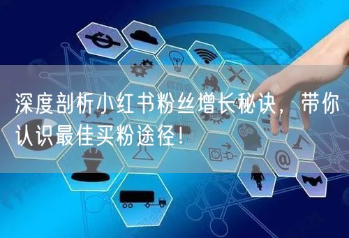 深度剖析小红书粉丝增长秘诀，带你认识最佳买粉途径！