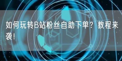 如何玩转B站粉丝自助下单？教程来袭！