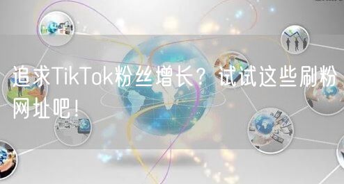 追求TikTok粉丝增长？试试这些刷粉网址吧！