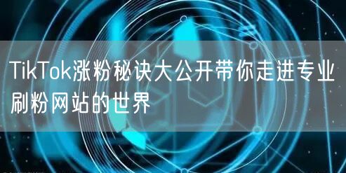 TikTok涨粉秘诀大公开带你走进专业刷粉网站的世界