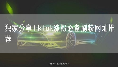独家分享TikTok涨粉必备刷粉网址推荐