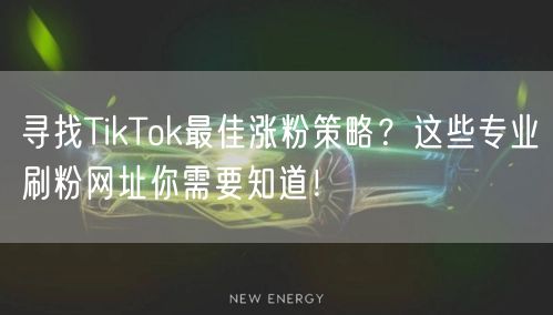 寻找TikTok最佳涨粉策略？这些专业刷粉网址你需要知道！